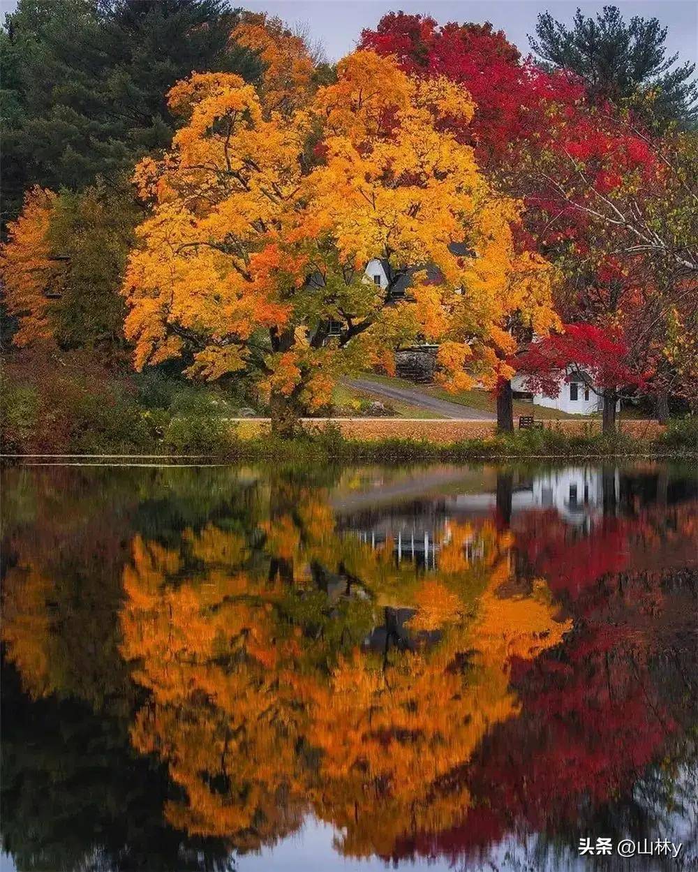 唯美秋色,如诗如画,让人沉醉