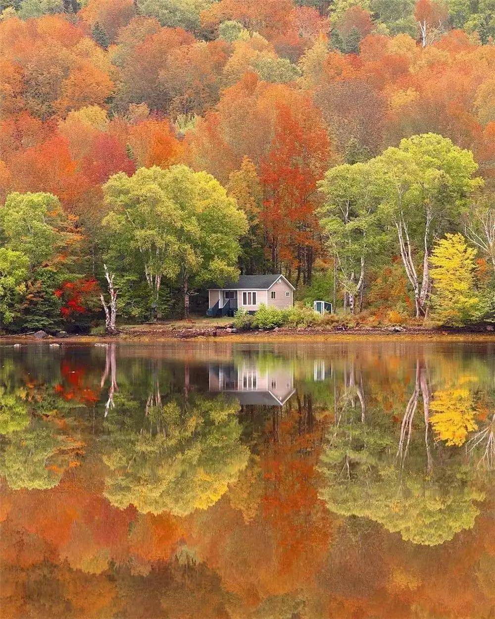 顶级绝美秋色美景,绚丽迷人