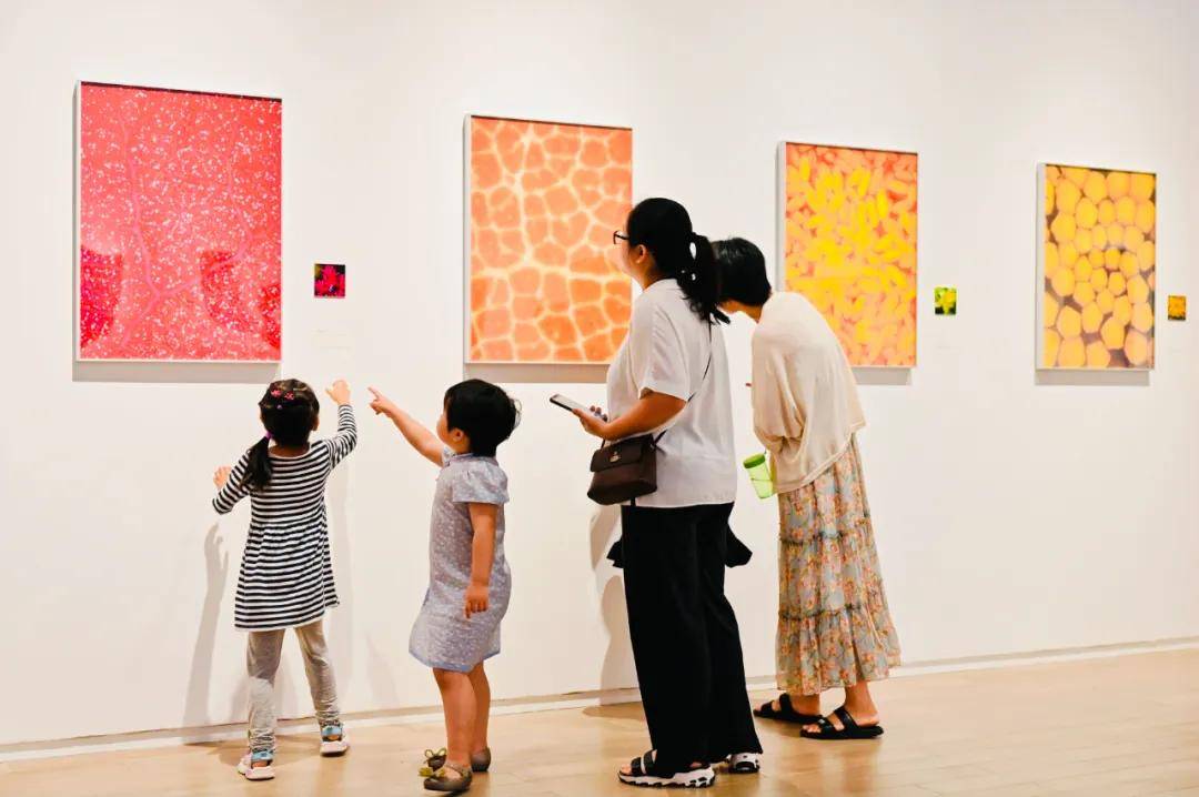 奇观——科学艺术展在光明文化艺术中心美术馆开幕