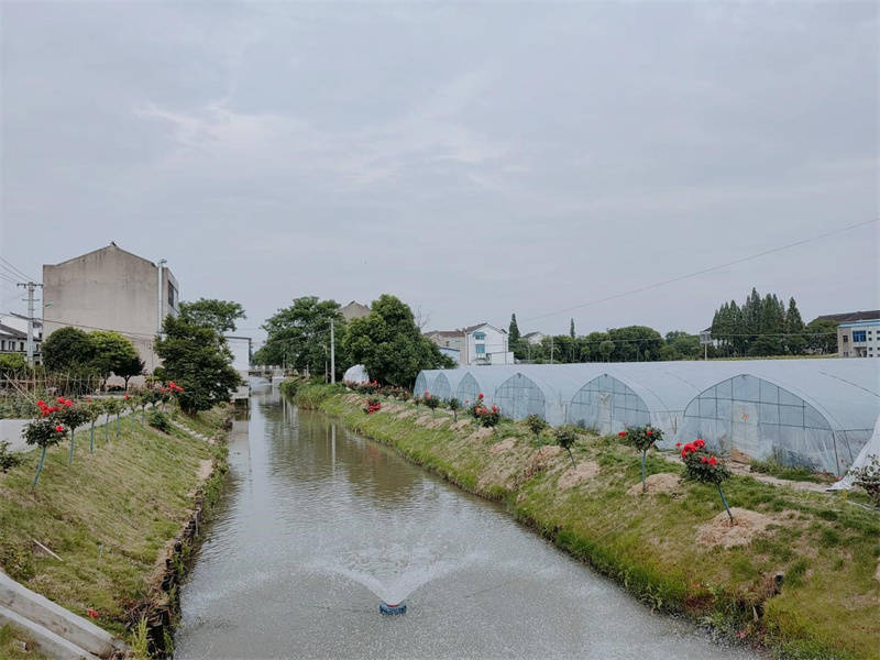 江苏江阴利港街道:持续发力,守护幸福河湖