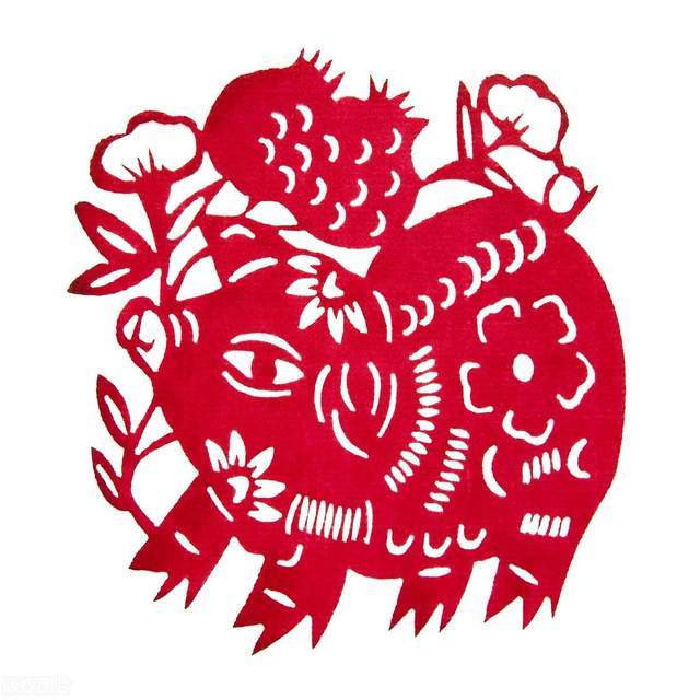 十二生肖运势白话(十二生肖运势大揭秘)