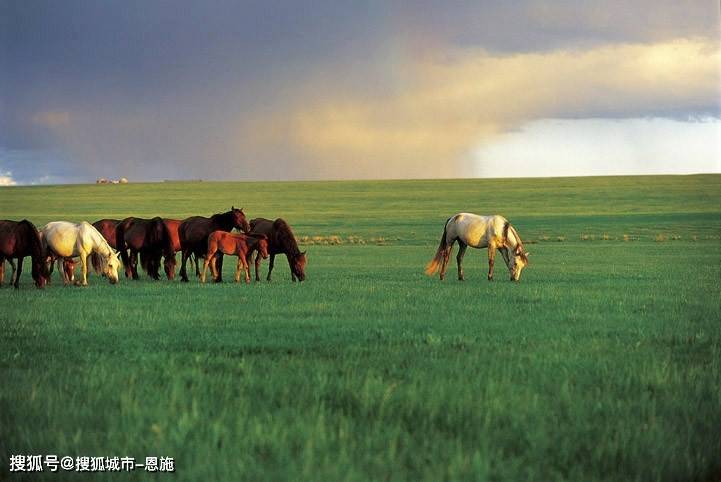 第四天:黑山头 —— 醉美边防线 —— 满洲里第五天:满洲里 —— 蒙源