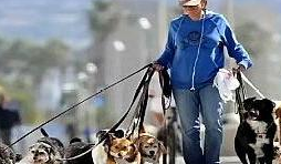 养狗微信女人头像_养狗的女人微信_女人养狗朋友圈