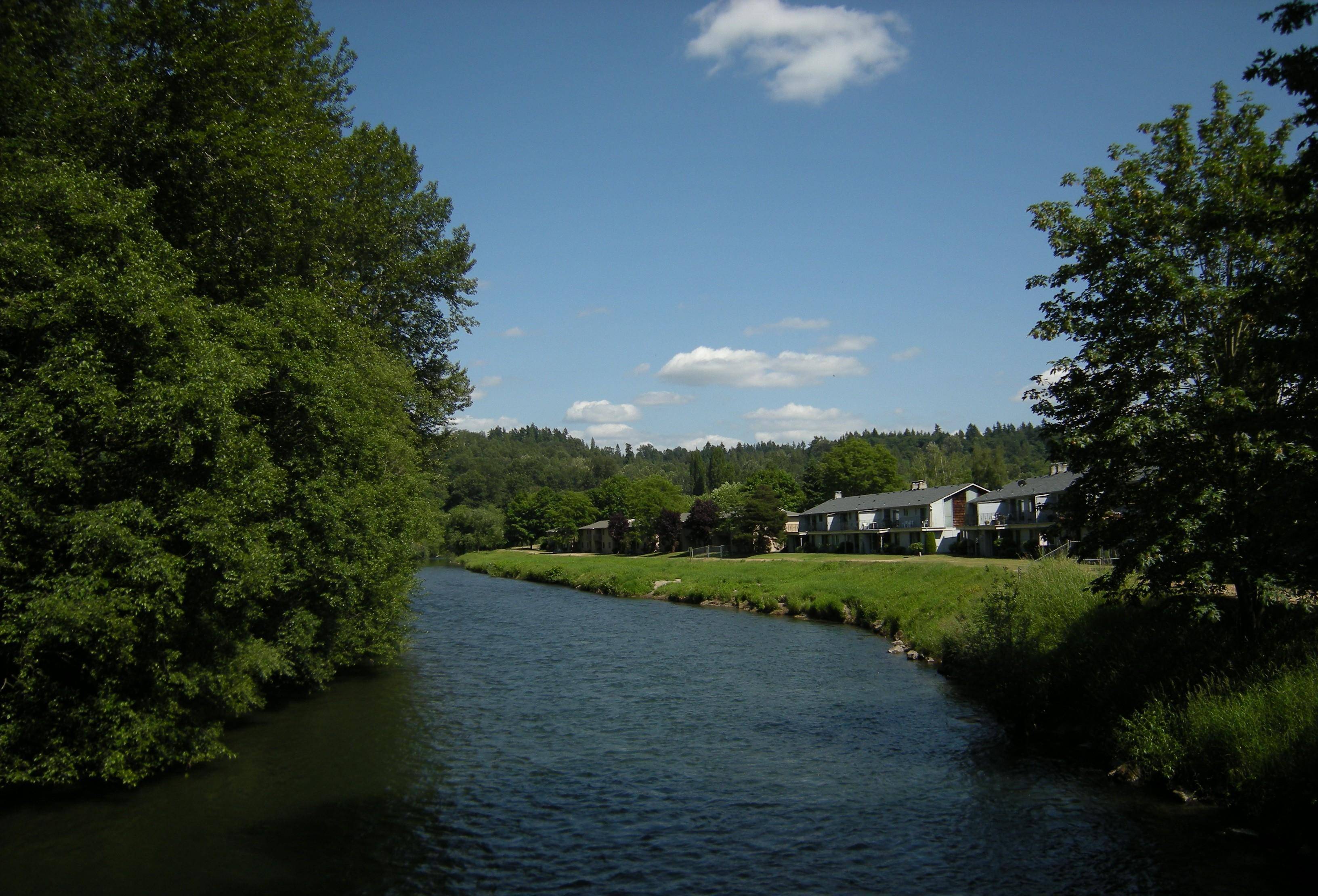 罪犯20年连续杀害48名女性,美国史上头号连环凶杀案"绿河杀手"