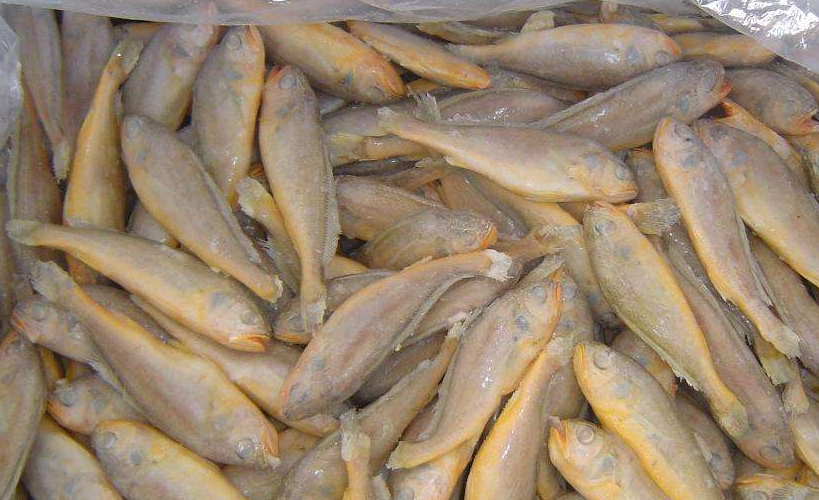 "不起眼"的这4种廉价海鱼,价格便宜还好吃,全都吃过的是吃货