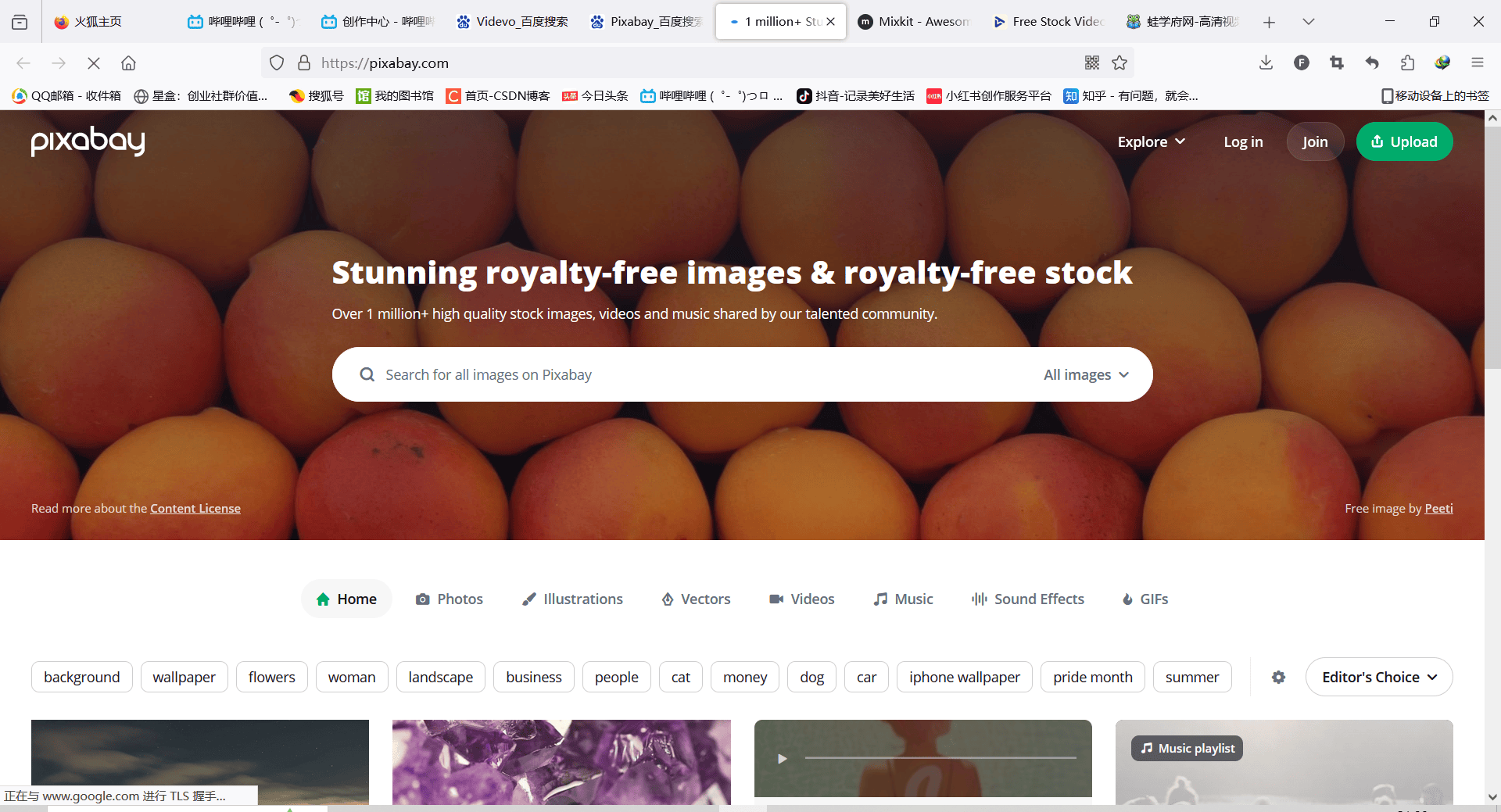 pixabaypexels 是知名的免费图像和视频素材平台,其素材无需担心版权
