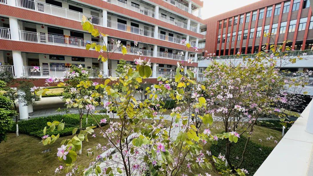 选华附还是天执?天河四名校今起报名!家长懵圈了.