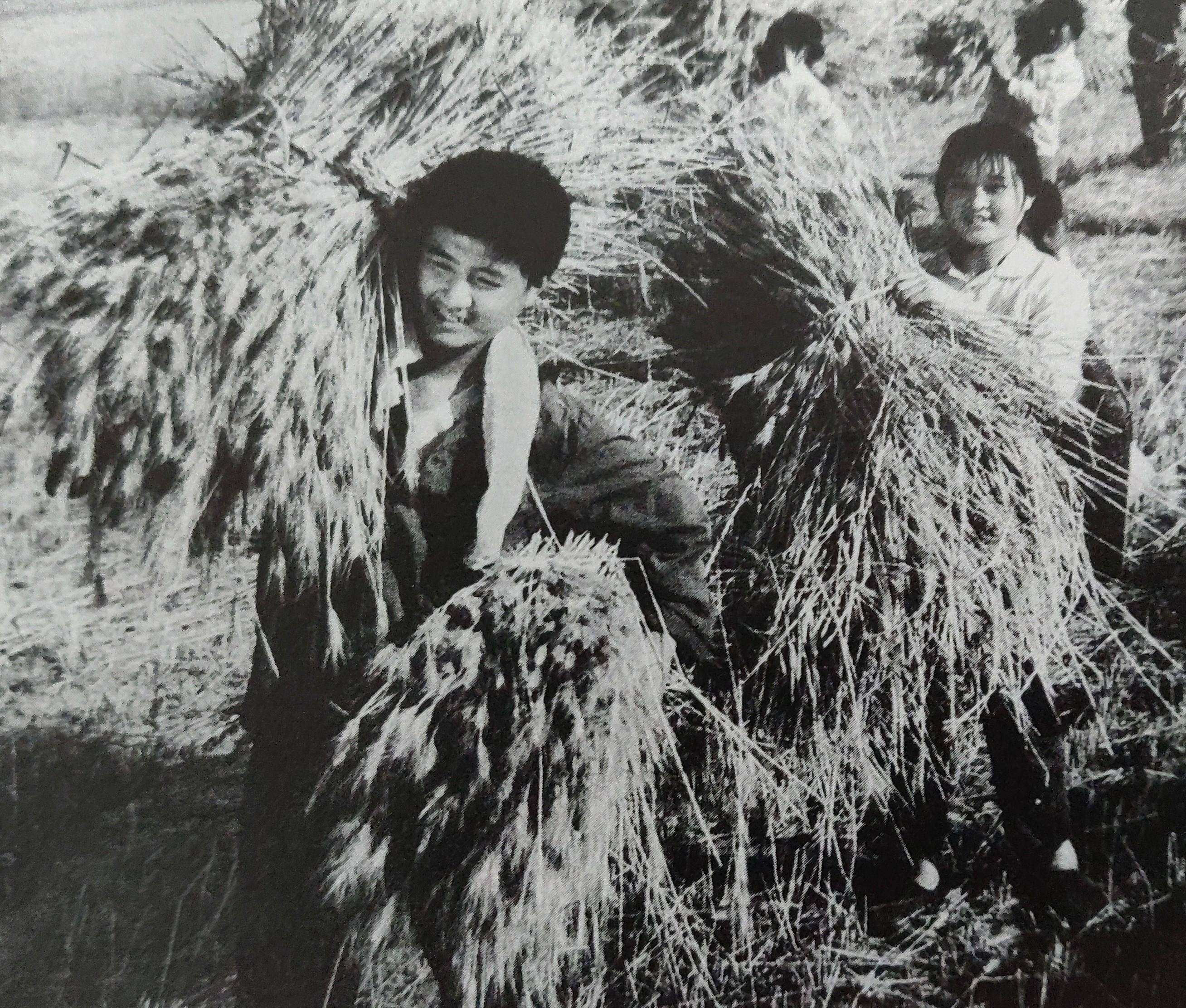 知青累出尿毒症,花80万换肾,领导:别说1个肾,2个肾也能给你换