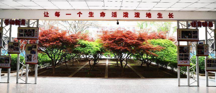 苏州大学教育研究基地合作_新城花园小学家长半日开放活动_新苏师范附属小学幼儿园