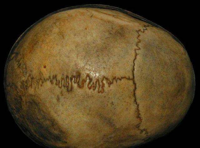 这个盗墓贼真猖狂,不仅敢盗皇陵,还把皇帝的头颅割下来做成了碗