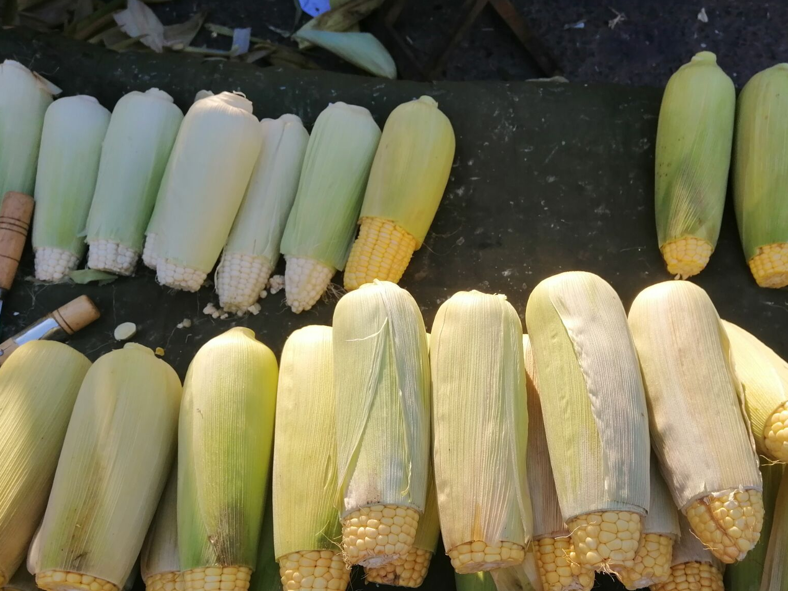 玉米不要煮着吃了,这才是最好吃做法,鲜到流口水,三碗还想吃_西红柿