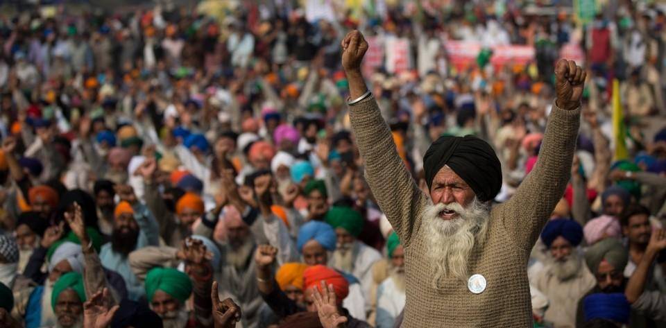 是什么让印度农民如此疯狂?