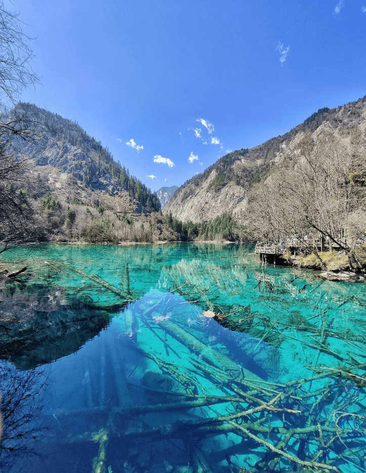 九寨沟,你是我的神,真的美疯了走着瞧旅行