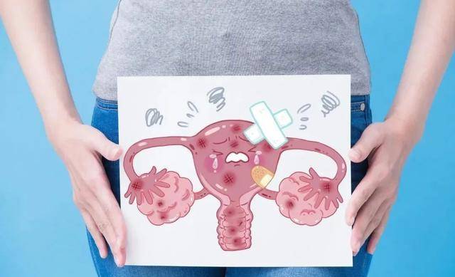 女性月经过程宫颈图片图片