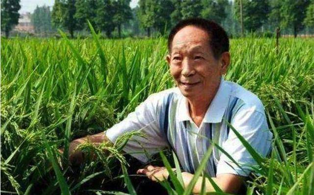 中国唯一的终身免检驾照,属于一位89岁老人,比普通驾照多7个字