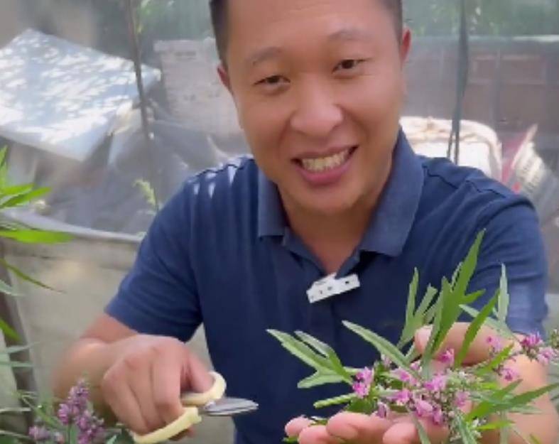 80后山东夫妻,放弃5万月薪,回村种菜,一天卖了120万,凭啥?