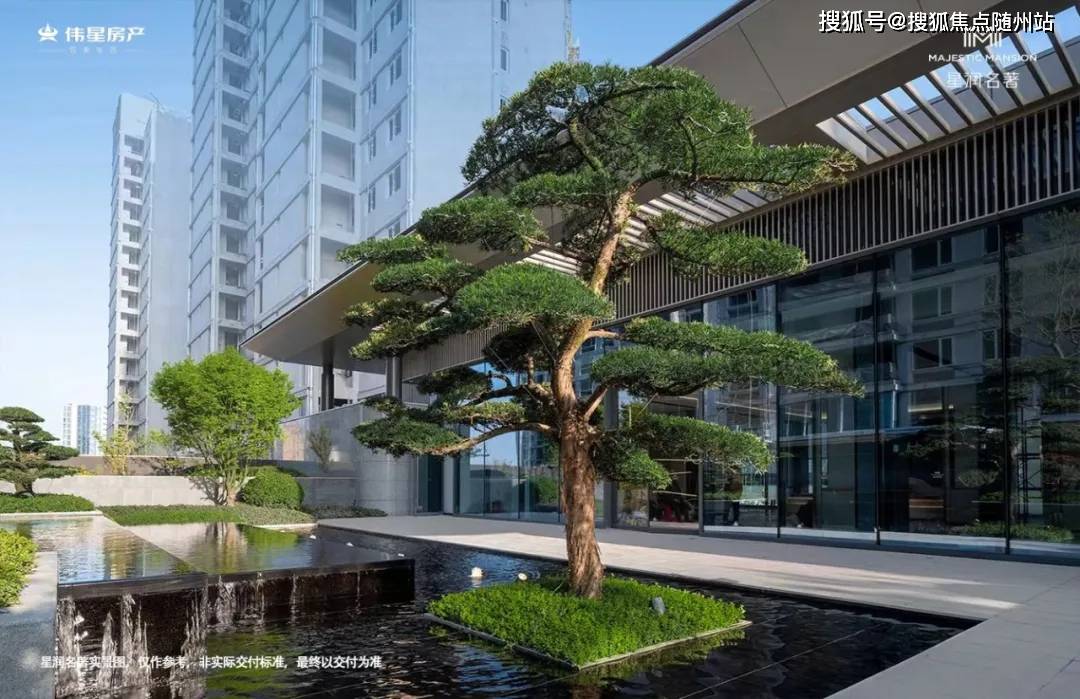伟星星润名著_2024年最新动态-鄞州住宅#伟星星润名著