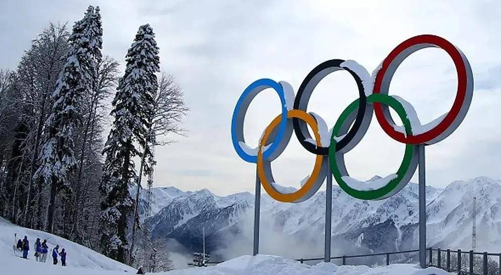 平昌冬奥会时,每个餐厅可以得到部分补贴,如果餐厅出售狗肉,政府将
