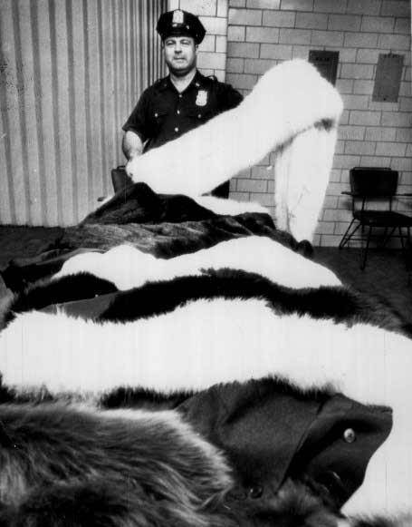 梦露死亡现场曝光:血液中毒药成分高的吓人,图7遗体姿势很怪异