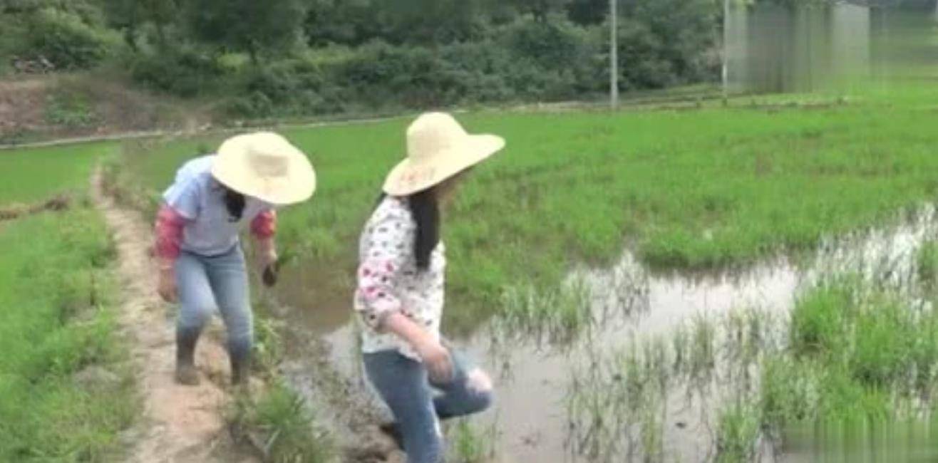 张京:15岁在山沟劳作,31岁参加高考,47岁成为500强公司负责人