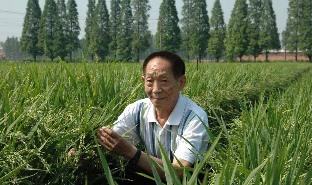 袁姓的著名人物图片