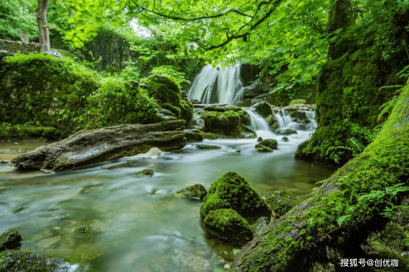 属牛旺财山水风景图片图片