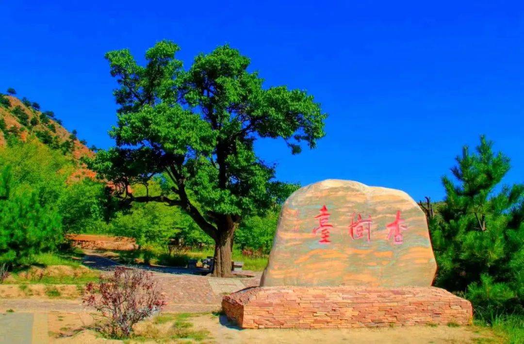端午假期,须弥山景色宜人,尽享温馨服务之旅