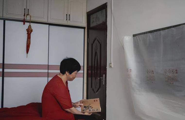 河南农妇,写300多首诗,登联合国演讲,全网都劝她离婚,为什么