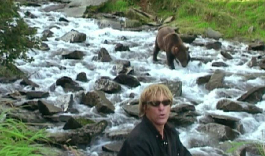 美国护熊奇人提摩西:和女友护熊13年,夜宿保护区时,双双被熊吃