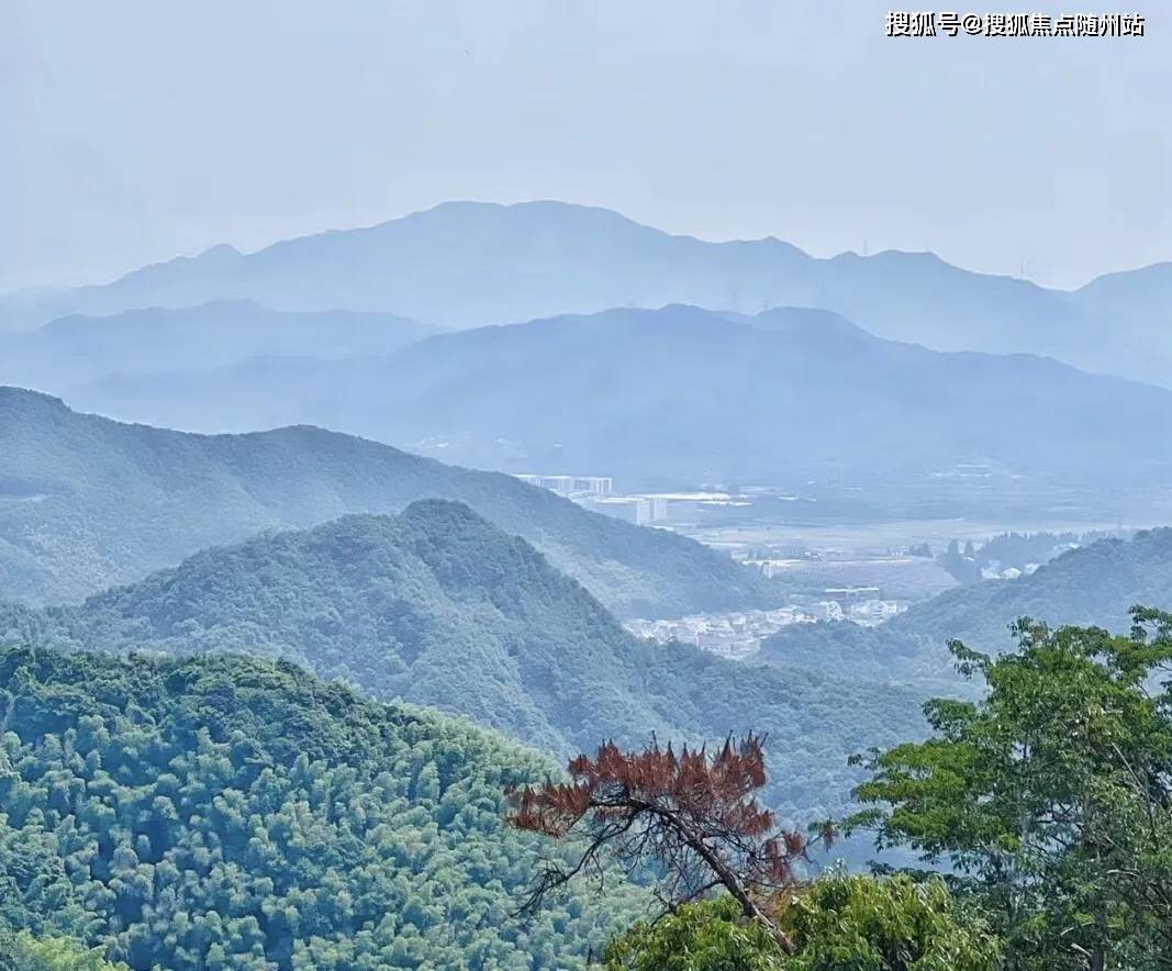 蓝城桃李春风首页网站-杭州萧山(桃李春风)2024楼盘详情-房价-户型