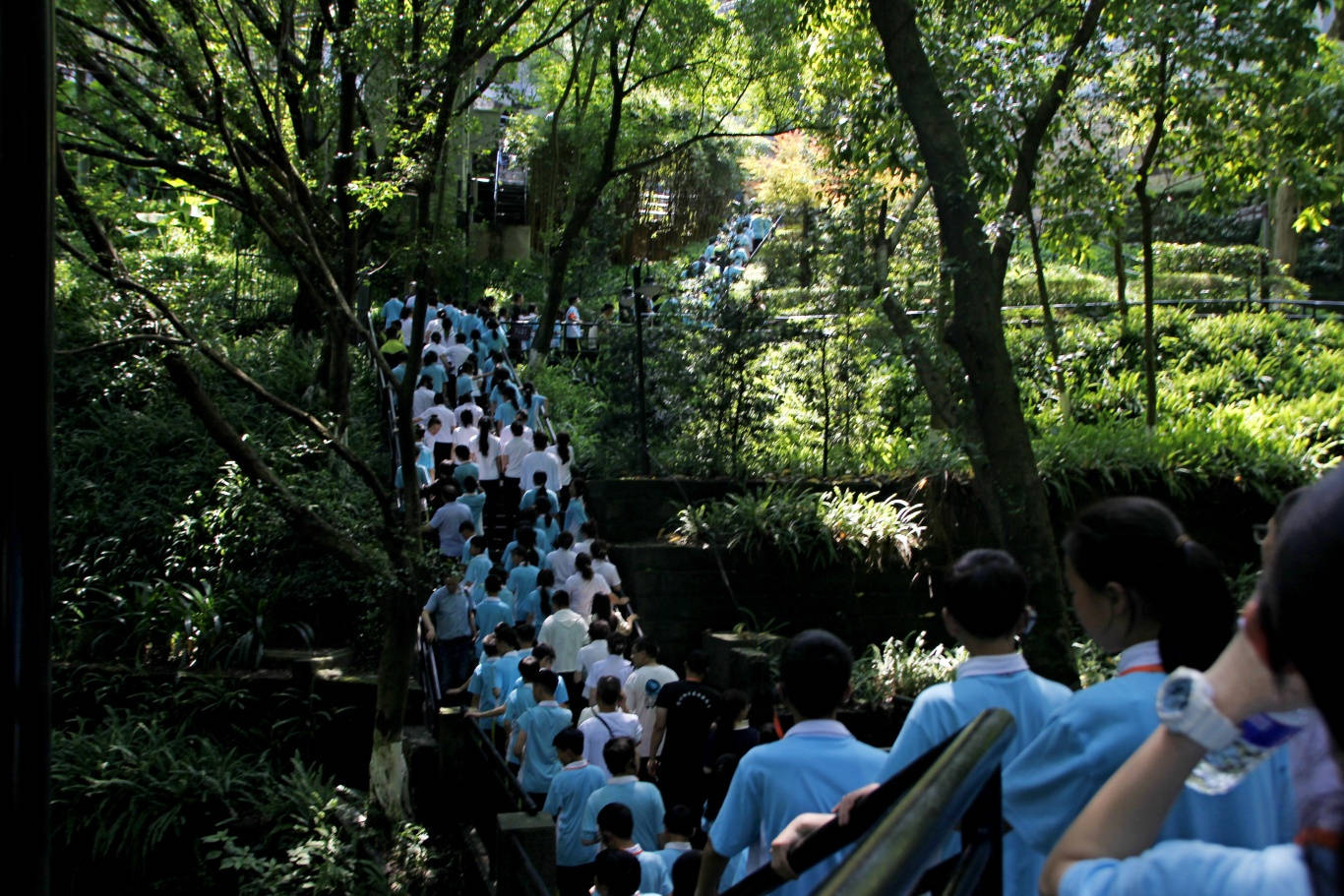 正安县第六中学图片