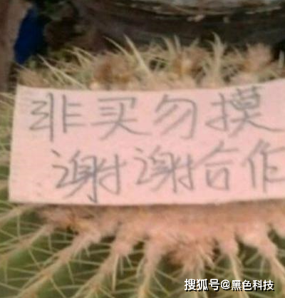 老妈_段子_妹纸