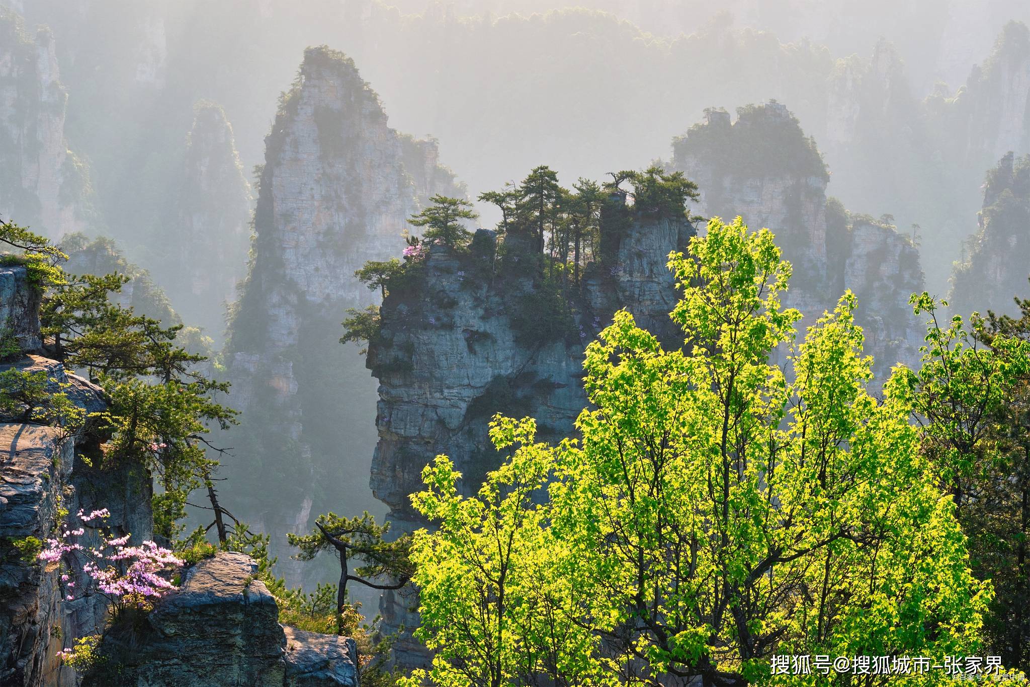 去张家界天门山旅游5天必玩景点,去张家界游玩攻略和费用,最详细路线