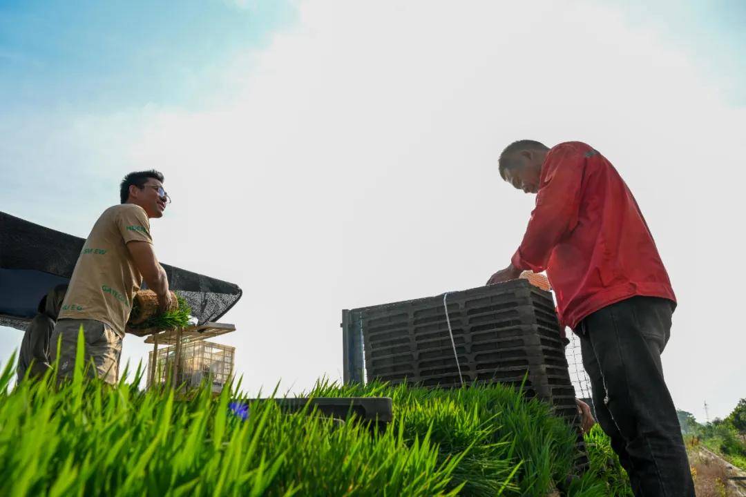 南阳市,西峡县摄协组织开展"宛丹良禾杯"摄影大赛采风活动