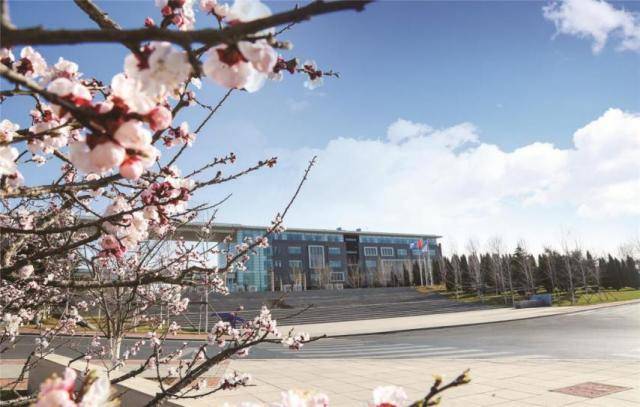 大连医科大学怎么样?医药高校"黑马",精英教育国内领先