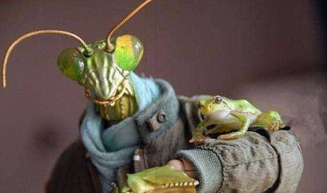 1962年,"昆仑山螳螂人"事件是真是假?原来早就被一锤定音