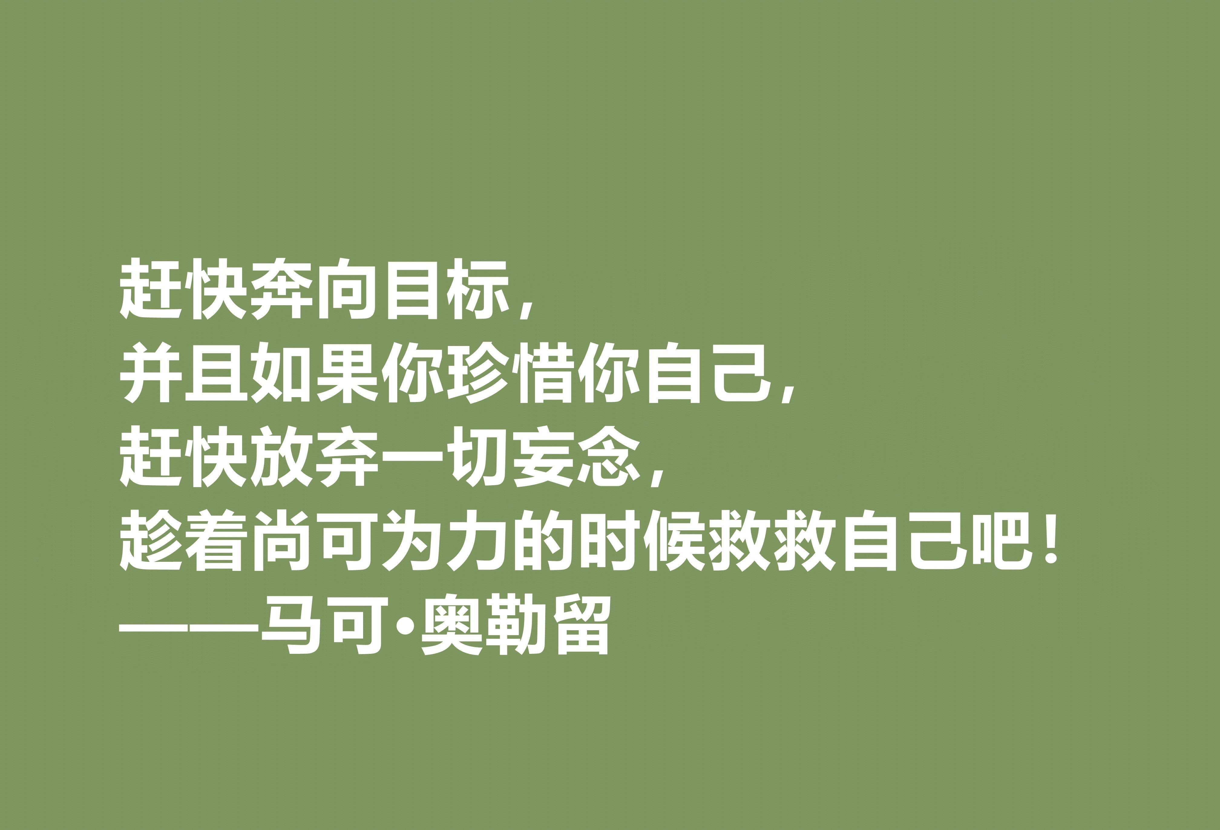 今天是这位君主兼哲学家1842周年忌辰,我们就一起来欣赏他的十句至理