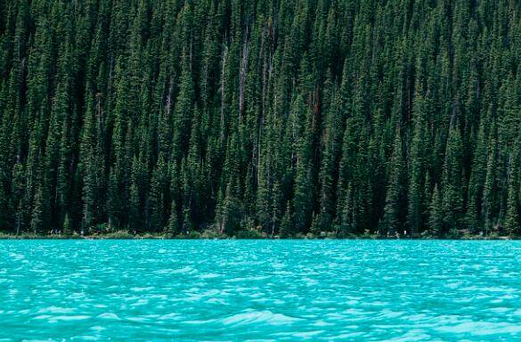 古镇旅游攻略,带您走进古镇的美丽风景_游客_图片_html