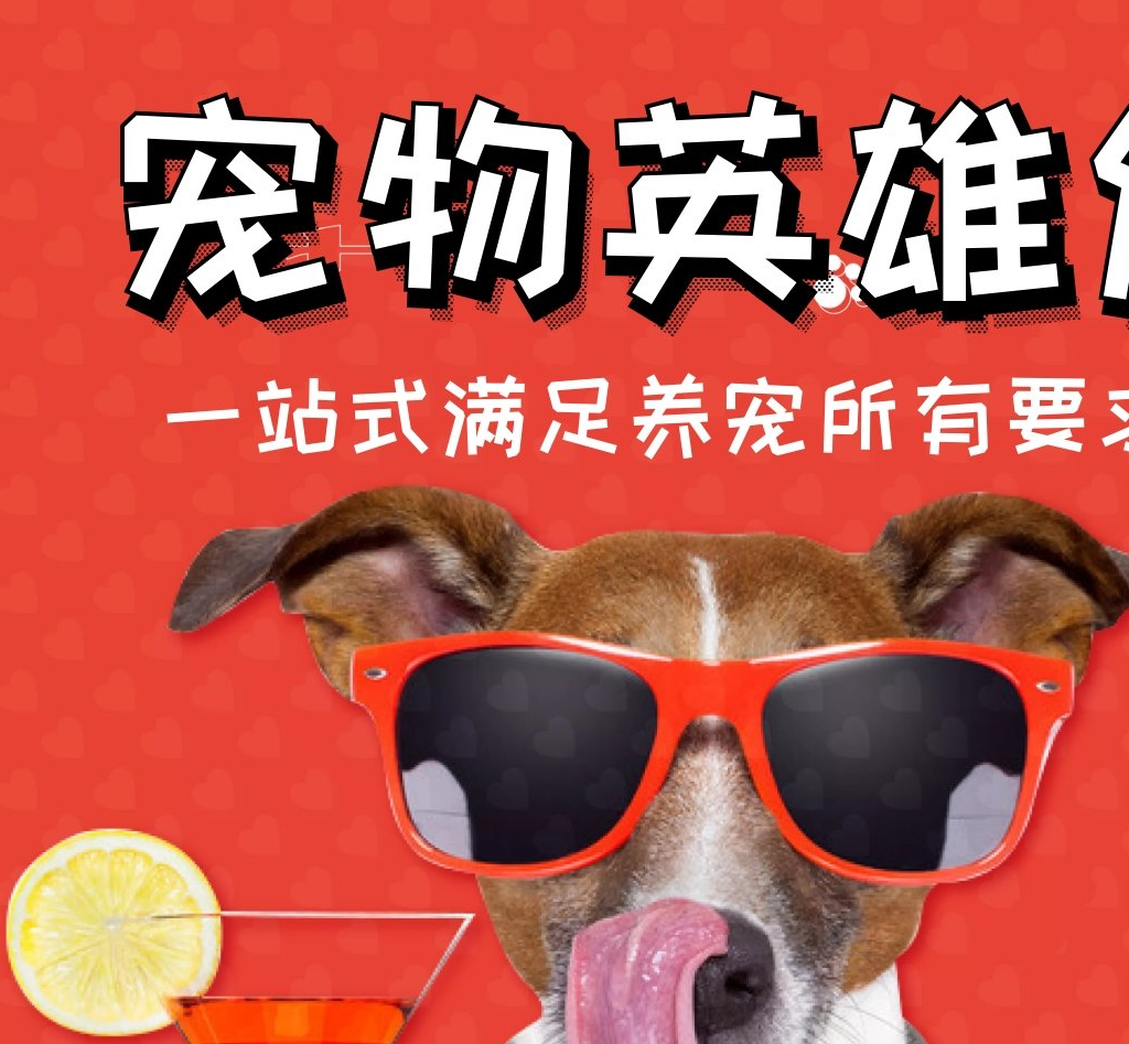 创作者
            狗狗患病咋办？许多铲屎官的作法都错了，恰当作法LX1(图6)