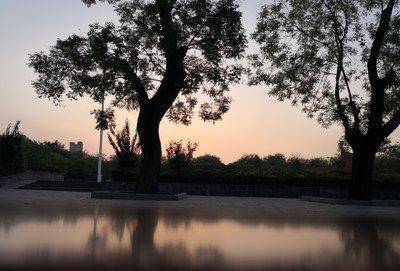 河南该地区古称"秣陵",是"中国聚酯网之乡",拥有人口130余万_沈丘县