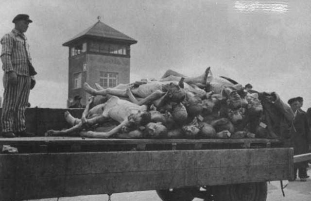 二战时不仅德国有集中营,其实美国本土也有,用来关押谁的?