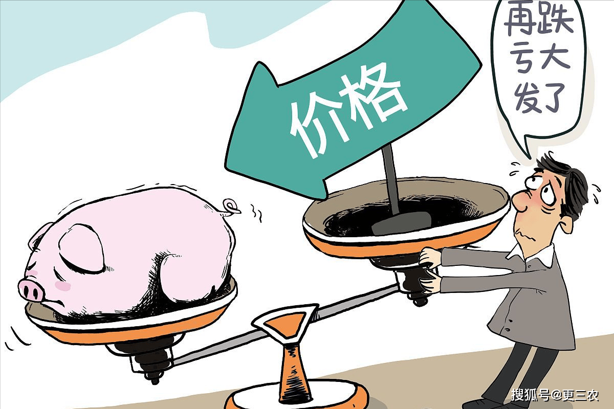 6月15日:调整后92号汽油价格,猪价"2连降"!