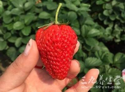 哺乳期上火了吃什么降火最快这些水果帮助你