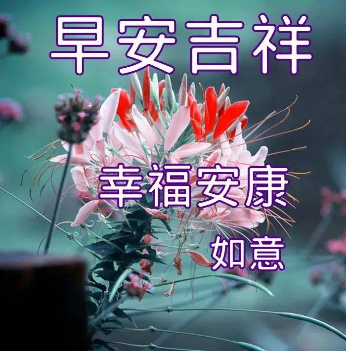 6月15日周六最美祝福图片