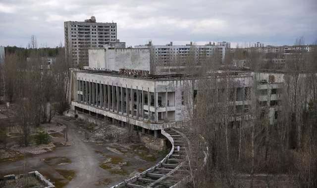 切尔诺贝利逃出的"变异狼",若生儿育女,会把变异基因传下去?