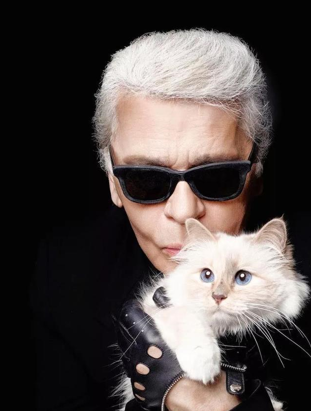 骨灰级猫奴老佛爷逝世,他的猫该何去何从_猫咪_卡尔·