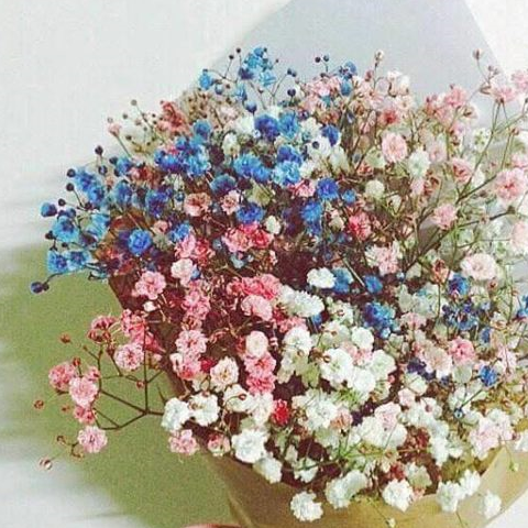 十二星座专属满天星花束,白羊座娇艳欲滴,金牛座唯美梦幻!