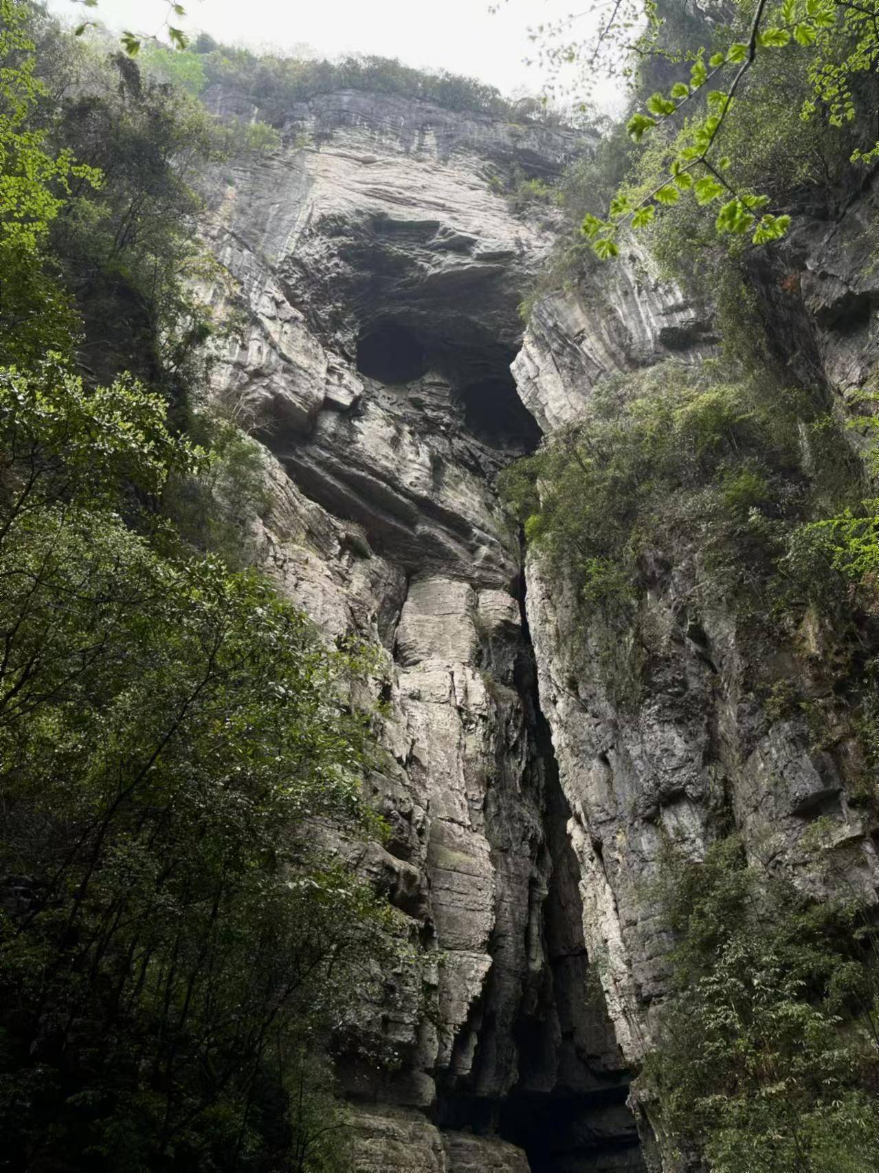 去重庆旅游攻略4天,重庆好玩的景点攻略,不踩雷巨详细