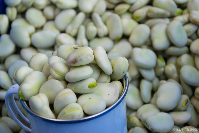 白芸豆的六大功效,让你重新认识这块餐桌上的绿色宝藏