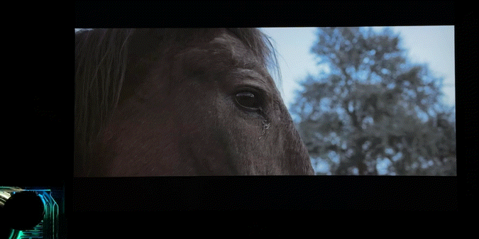 果粉屏的平替！27寸真4K大屏超细腻——KUYCON酷优客P27U显示器使用体验